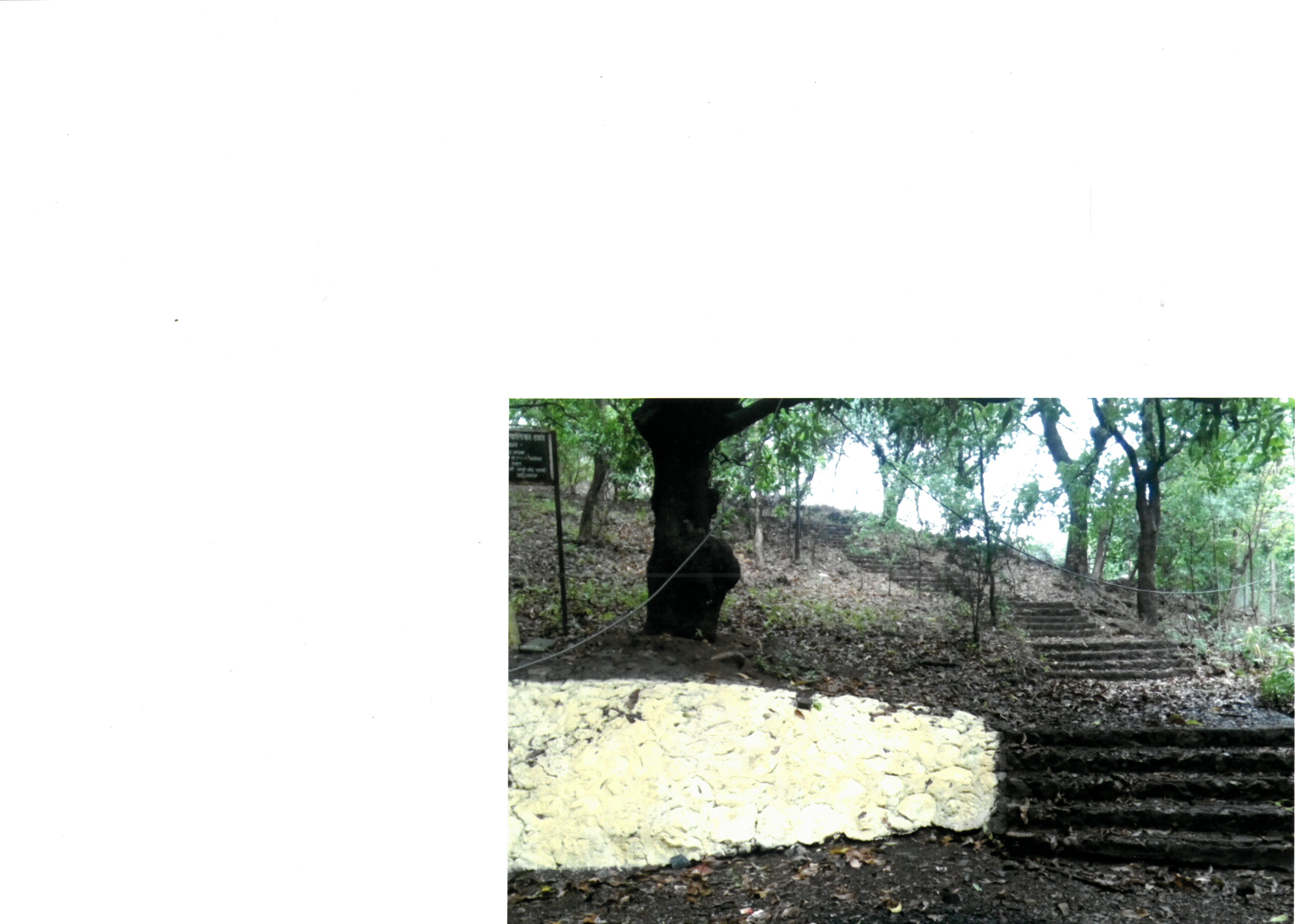 CSR Activity 10